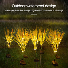 🌈Solar Wheat Lights | Stunning, Waterproof |8-10h Glow – 🌾 🔥Get 50% OFF🔥