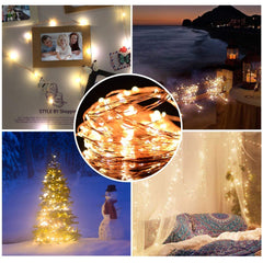 10 Meters LED Copper Wire with Decorative Fairy Lights (100 LED Lights) Pack Of Two
