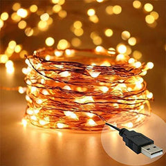 10 Meters LED Copper Wire with Decorative Fairy Lights (100 LED Lights) Pack Of Two